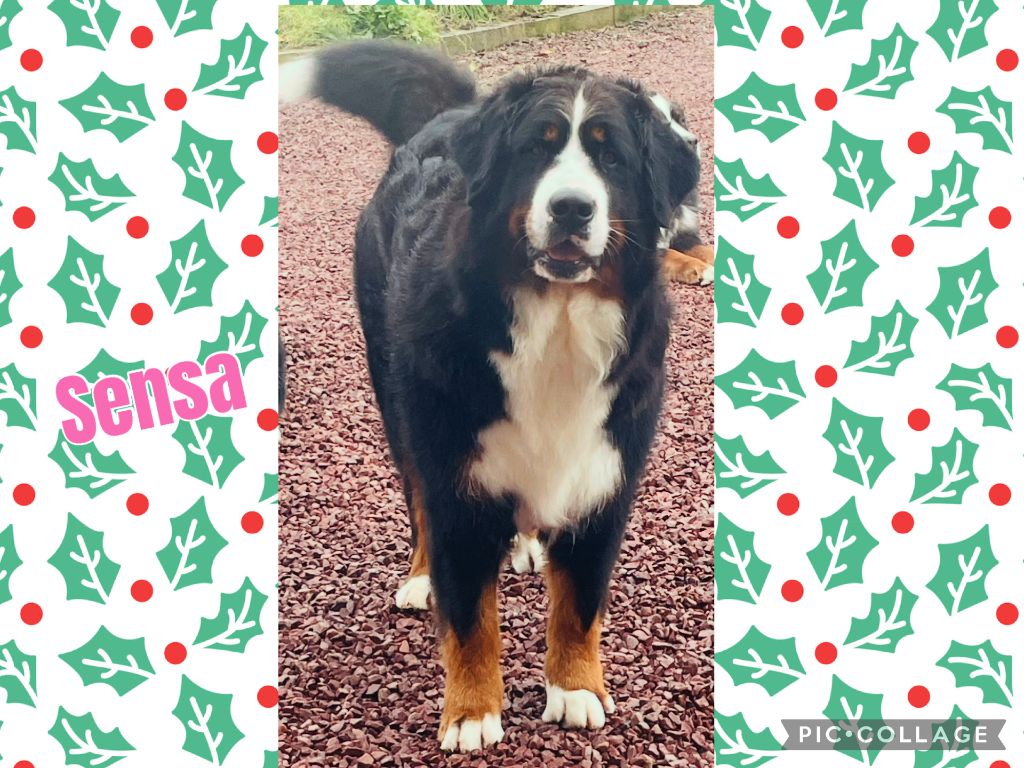 Sensa De La Baie De La Mancha